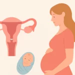Tomber enceinte avec un col fragile : tout comprendre sur le cerclage utérin