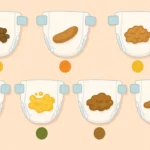 Échelle de Bristol : ce que les selles de bébé révèlent sur sa santé